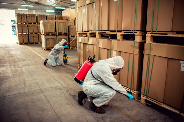 Best Wasp Removal Services  in Cheverly, MD