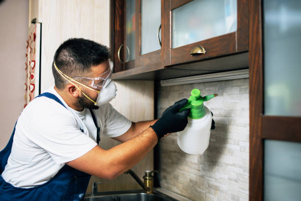 Best Affordable Pest Control Services  in Cheverly, MD
