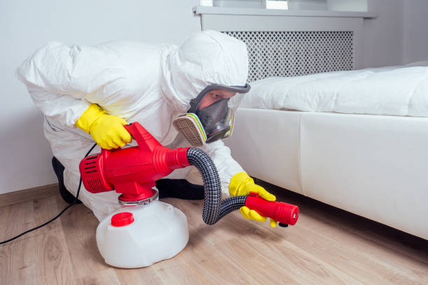 Best Pest Control Near Me  in Cheverly, MD