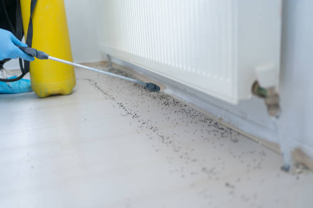  Cheverly, MD Pest Control Pros