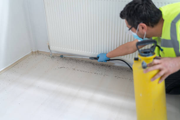 Best Insect Control  in Cheverly, MD